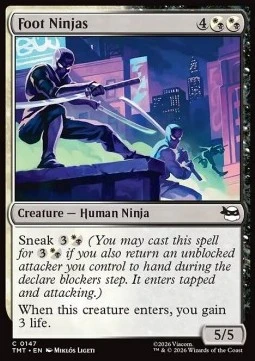 Foot Ninjas.jpg