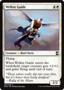 WelkinGuide.jpg