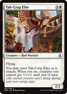 TahCropElite.jpg