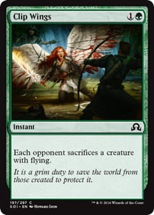ClipWings.jpg