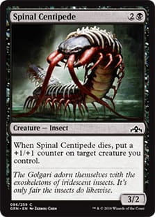 SpinalCentipede.jpg