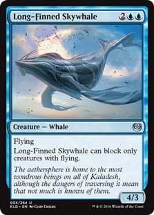 LongFinnedSkywhale.jpg