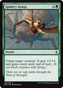SpideryGrasp.jpg