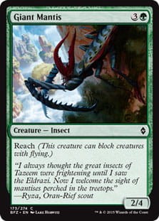 GiantMantis.jpg
