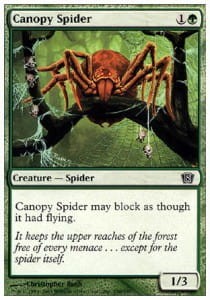 canopy_spider.jpg