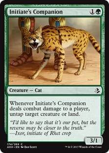 InitiatesCompanion.jpg