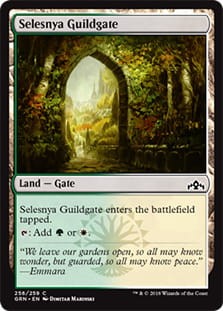 SelesnyaGuildgate256.jpg