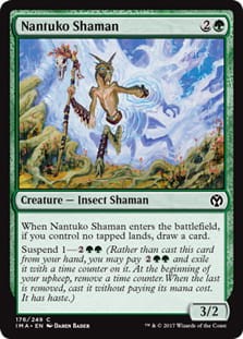 NantukoShaman.jpg