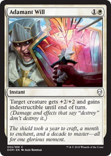 AdamantWill.jpg