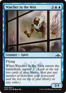 WatcherInTheMist.jpg