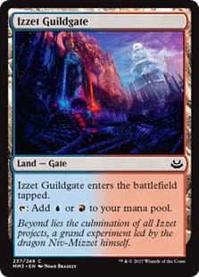 IzzetGuildgate.jpg