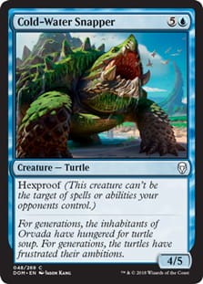 ColdWaterSnapper.jpg