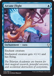 ArcaneFlight.jpg