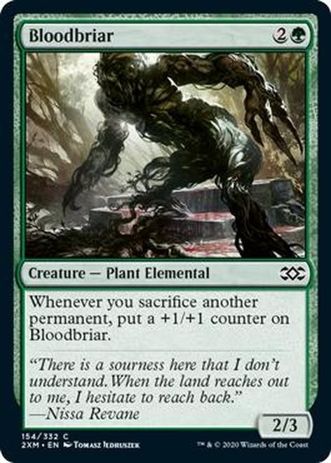 Bloodbriar__28591.1596210377.jpg