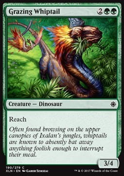 grazing_whiptail.jpg
