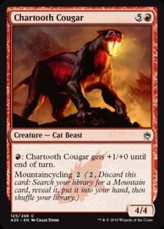 ChartoothCougar.jpg