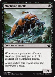 MorticianBeetle.jpg