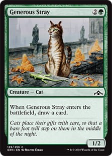 GenerousStray.jpg