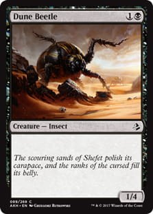 DuneBeetle.jpg