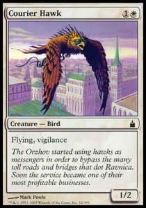 courier_hawk.jpg