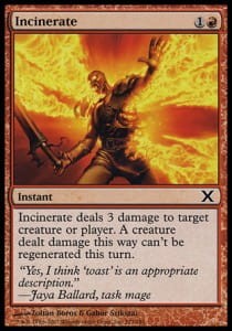 incinerate.jpg