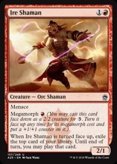 IreShaman.jpg