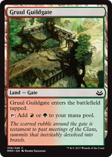 GruulGuildgate.jpg