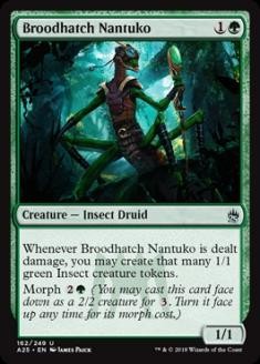 BroodhatchNantuko.jpg
