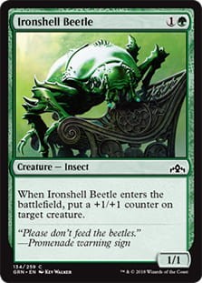 IronshellBeetle.jpg