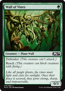 WallOfVines.jpg