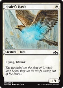 HealersHawk.jpg