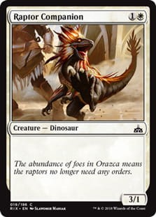 RaptorCompanion.jpg