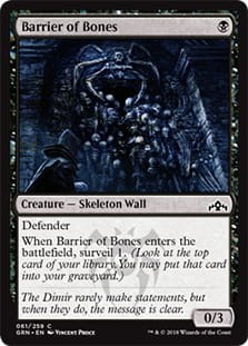BarrierOfBones.jpg