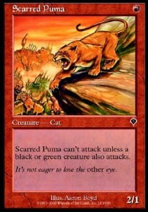 scarred_puma.jpg