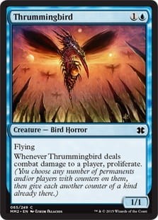 Thrummingbird.jpg