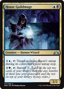 HouseGuildmage.jpg