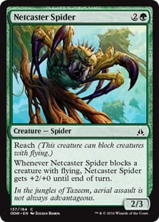 NetcasterSpider.jpg