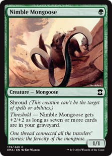 NimbleMongoose.jpg