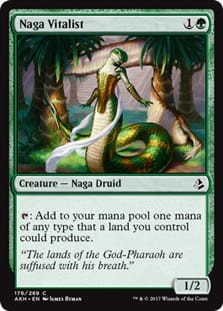 NagaVitalist.jpg