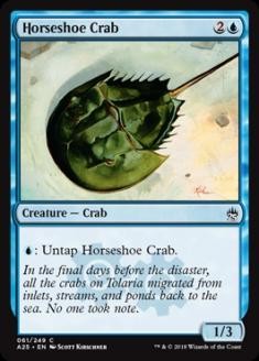 HorseshoeCrab.jpg