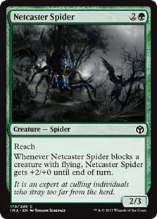 NetcasterSpider.jpg