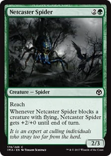 NetcasterSpider.jpg