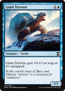 GiantTortoise.jpg