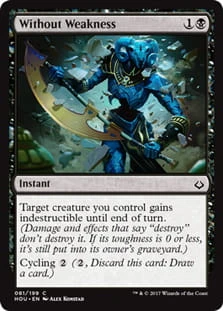 WithoutWeakness.jpg