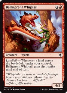 BelligerentWhiptail.jpg