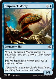 ShipwreckMoray.jpg
