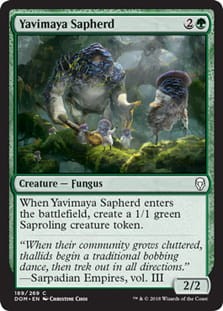 YavimayaSapherd.jpg